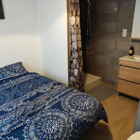 Grande Maison Conviviale A Avec Jardin Clos * Фламанвиль