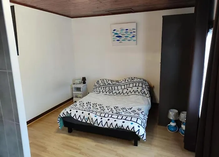 Grande Maison Conviviale A Avec Jardin Clos Tatil Evi *