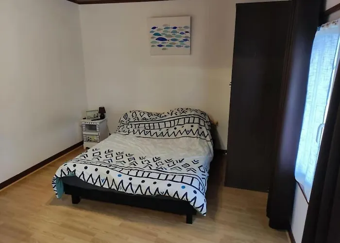 Grande Maison Conviviale A Avec Jardin Clos Tatil Evi