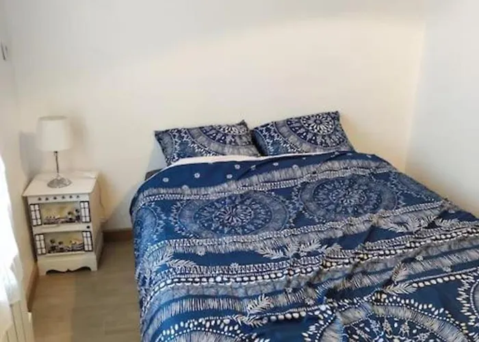 Grande Maison Conviviale A Avec Jardin Clos Tatil Evi *